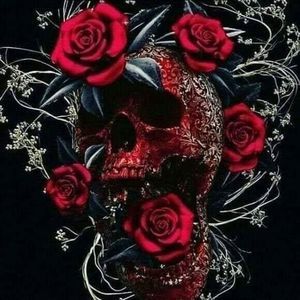 Meet your Posher, Teddy